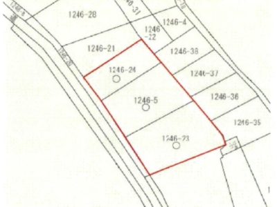 沼津市岡宮1246-5他　土地