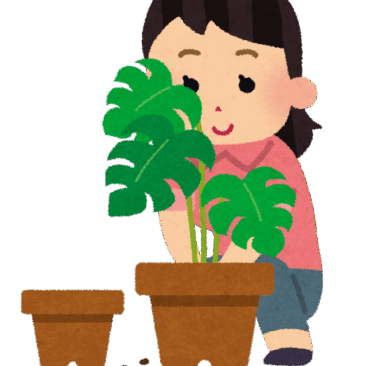 植物の秋♪
