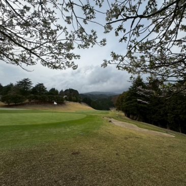 約2年半ぶりの…