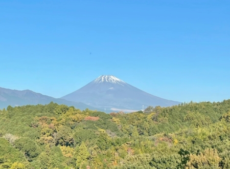 リビングから富士山眺望！　　　　　　三島市加茂築浅中古住宅
